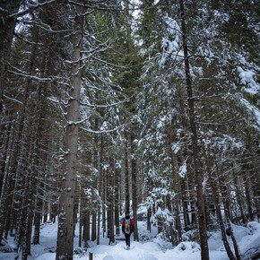 Tváří tvář té nejčistější přírodě