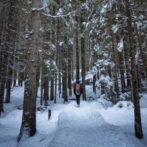 Kraft aus der Natur schöpfen