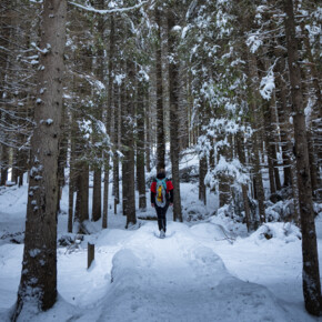 W kontakcie z naturą 