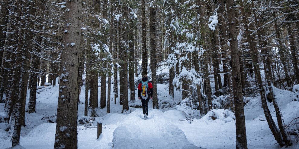 Mezi visutým a průhledným mostem