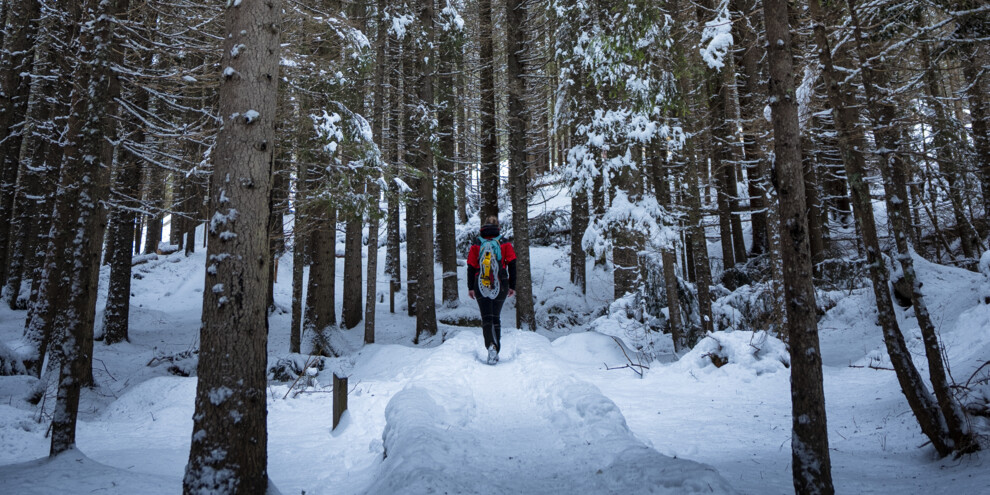 Mosty wiszące, mosty przezroczyste