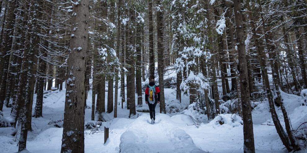 Среди подвесных и невидимых мостов