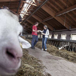 Agritourismusbetriebe