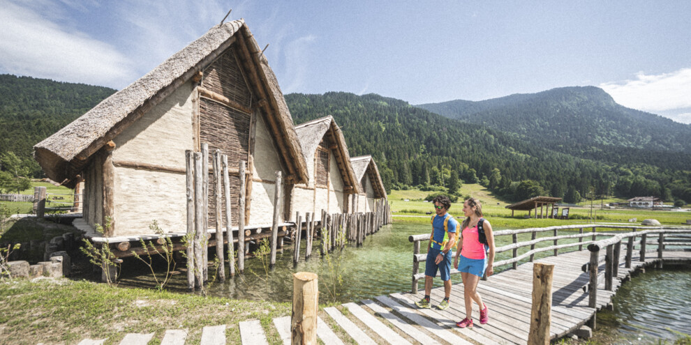 Stallen, hout... en palen