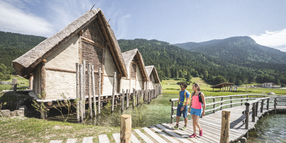  Stables, woods... and stilt houses