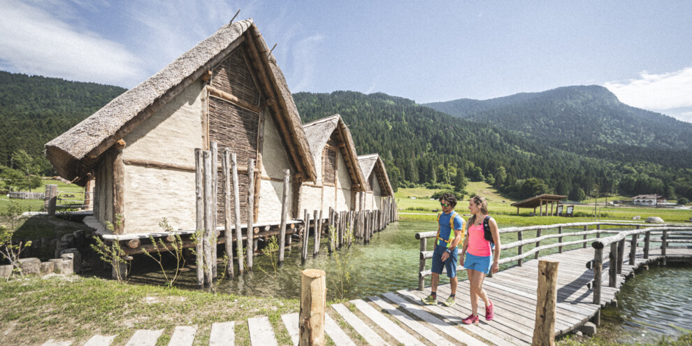 Stáje, lesy... a chůdy