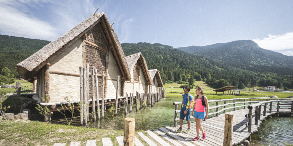 Stajnie, lasy i... palafity