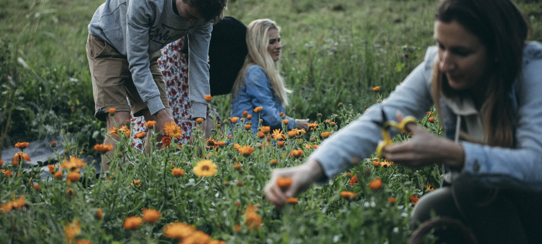 Storie dal Trentino: Maddalena Zanoni