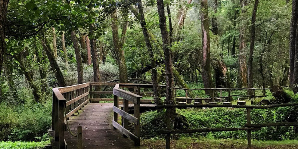 Biotop Roncegno, Valsugana