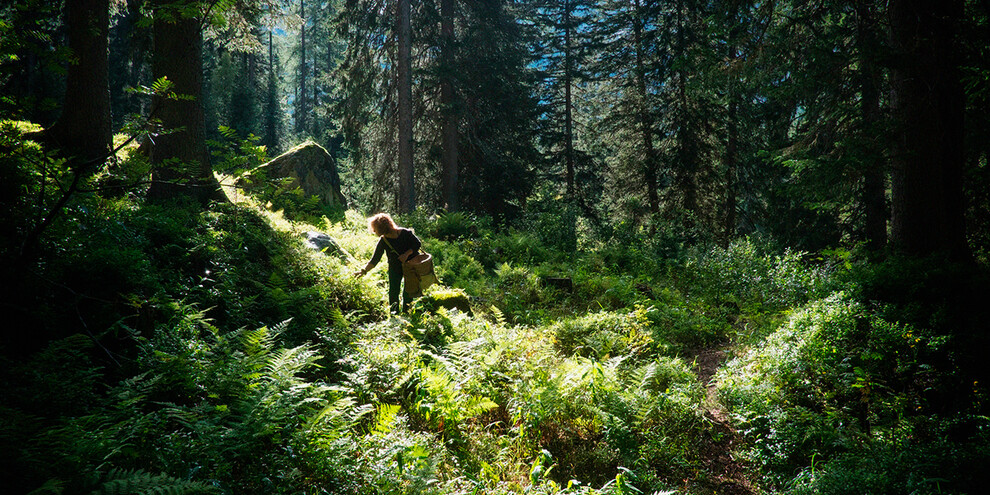 С луга на обед