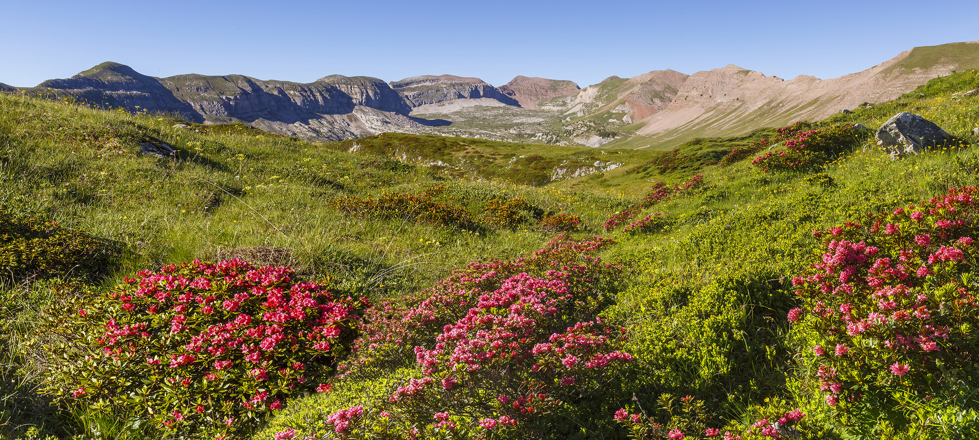 Il potere della natura