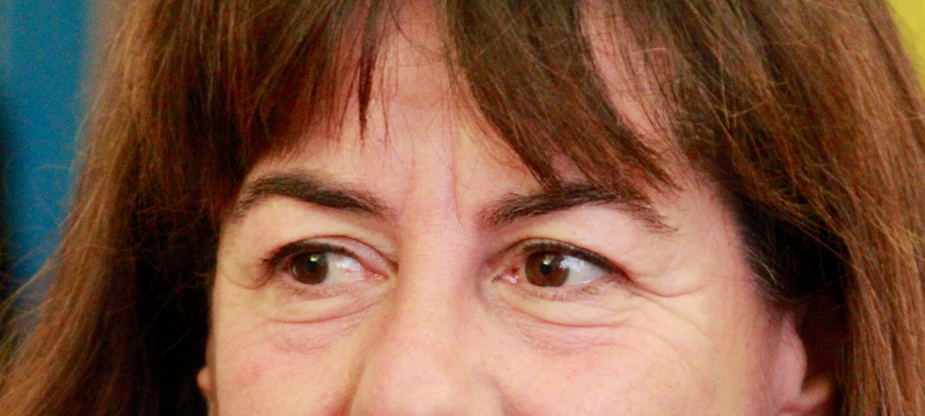 SAT turns 150 and celebrates the history and future of Trentino