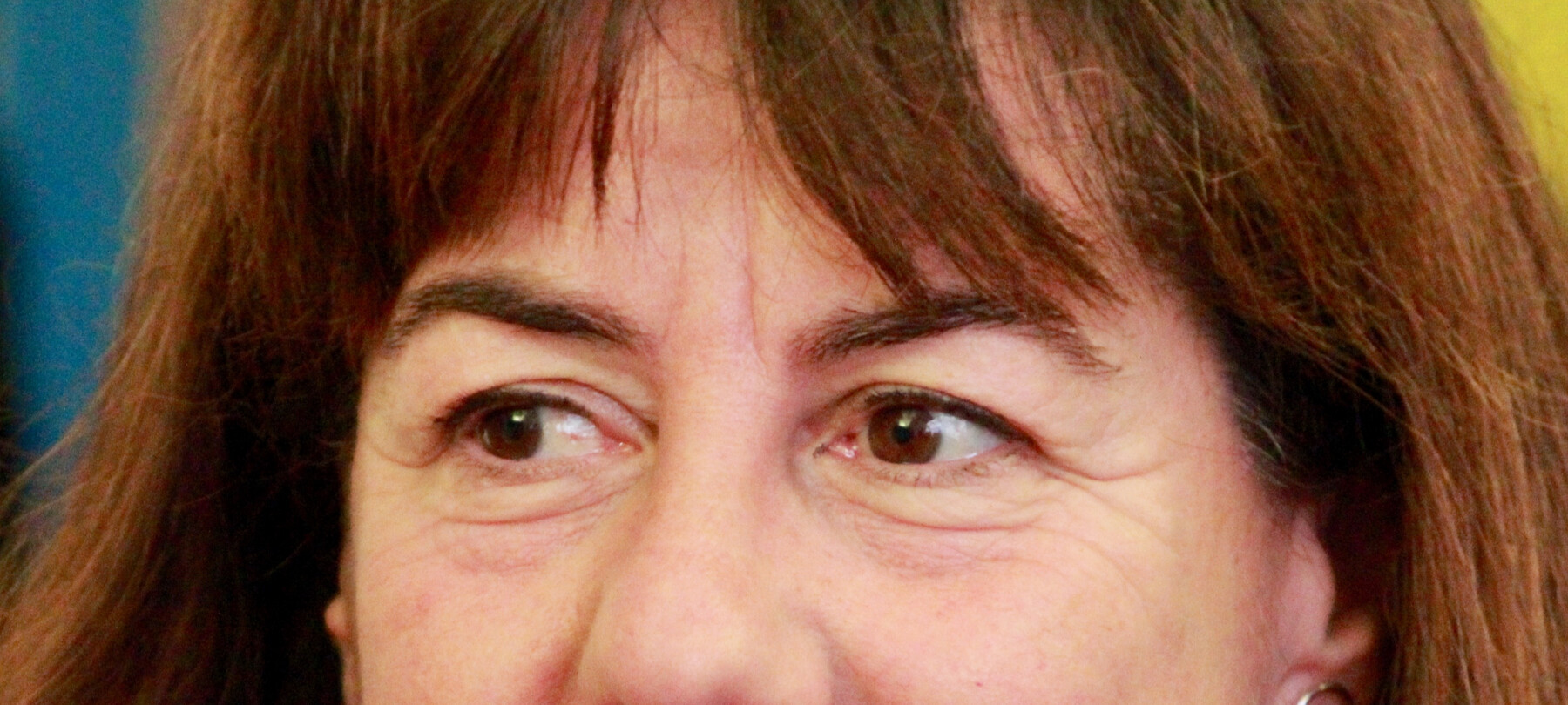 SAT turns 150 and celebrates the history and future of Trentino