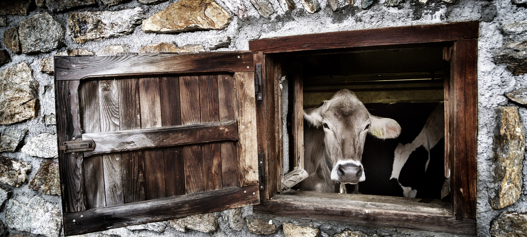 Lernbauernhöfe im Trentino