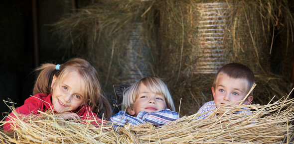 Agritourismusbetriebe