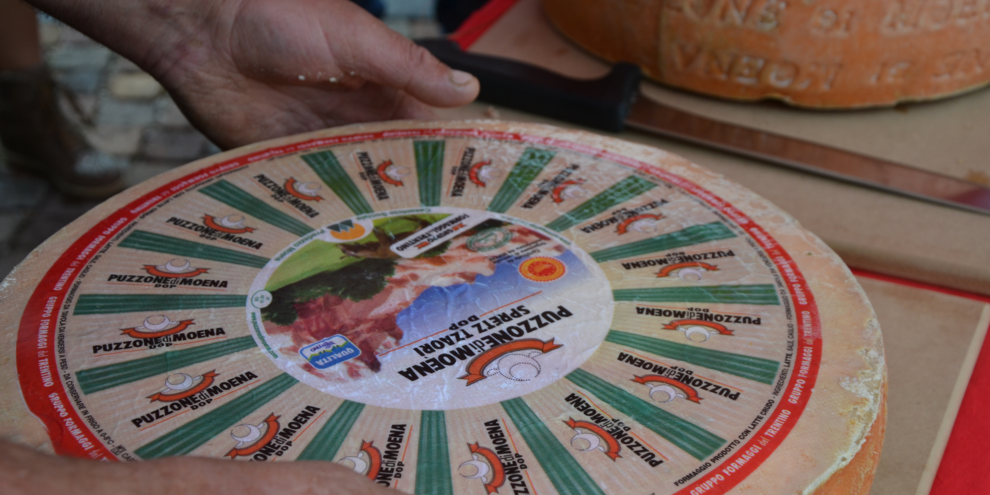 Puzzone di Moena DOP – Caseificio di Predazzo e Moena