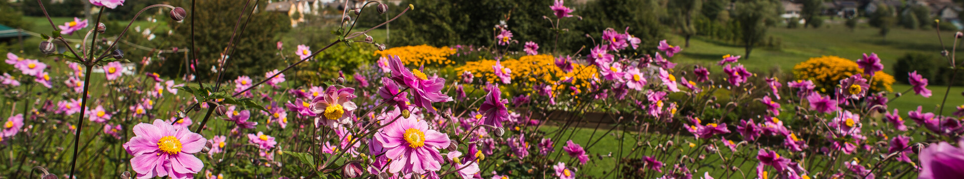 Nel cuore del Trentino 
