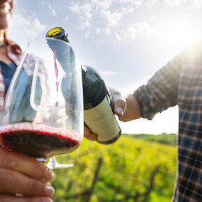 Unter den Dörfern von Teroldego