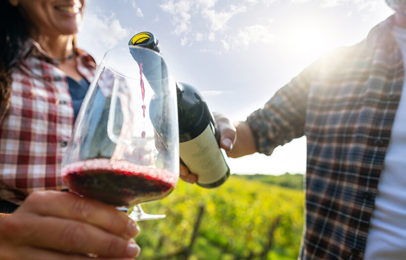 Dowiedz się więcej o tym winie