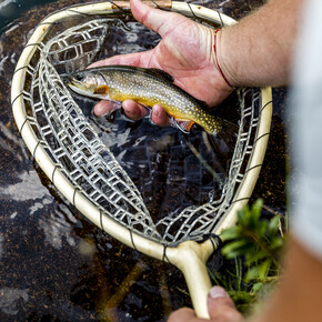 Fishing in the lakes