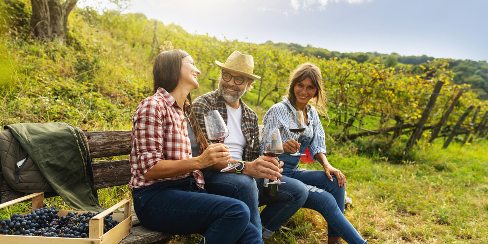 Дегустация вина, как экспириенс