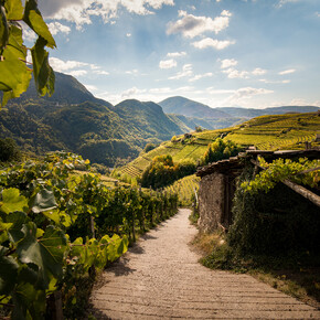 Spring in Val di Cembra