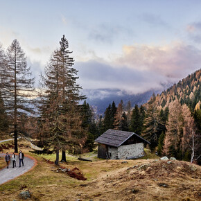 What language do you dream in?