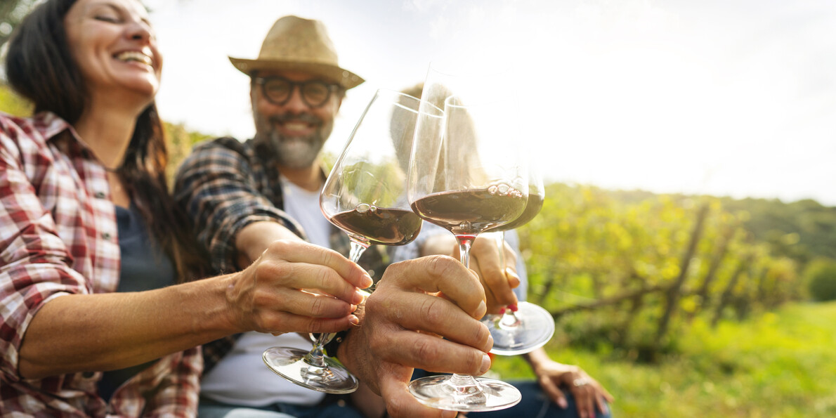 Trentino Q&A | Where is Trentino? What is Trentino famous for? 