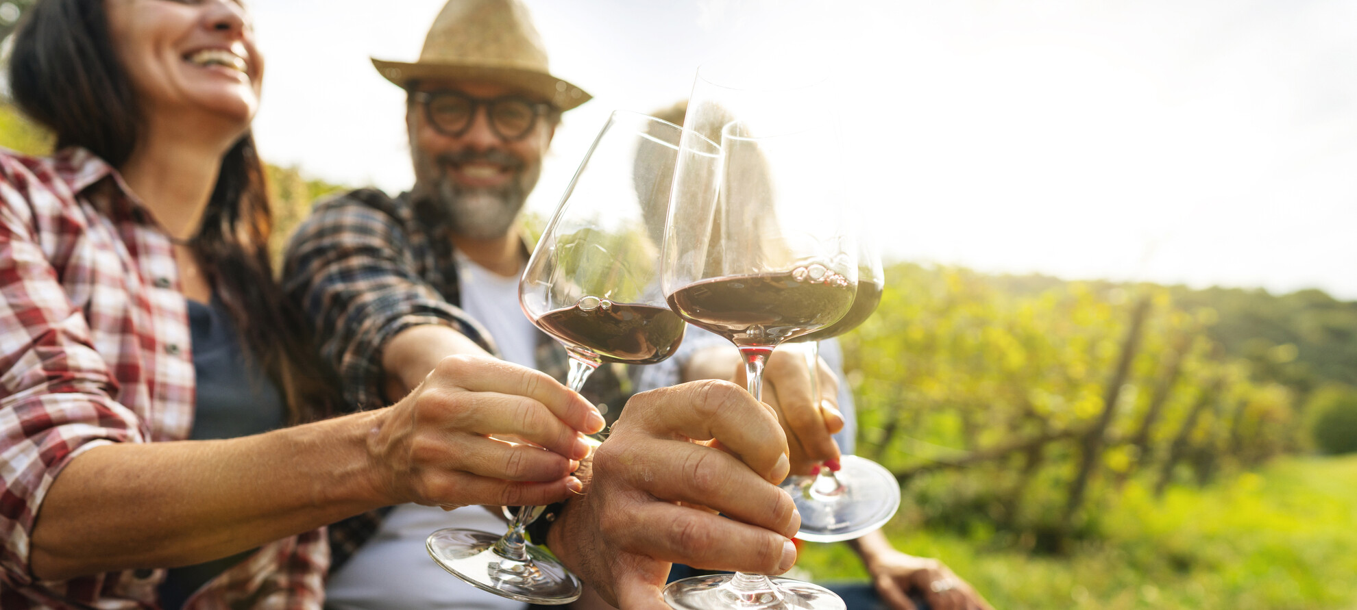 The Trentino of wine