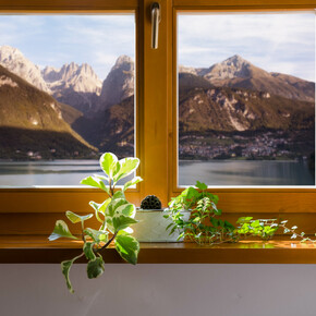 Ein romantisches Erwachen