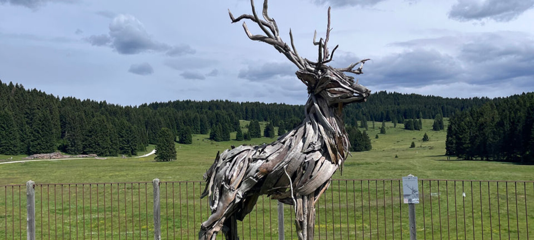 Cervo di Vaia | © App Mio Trentino