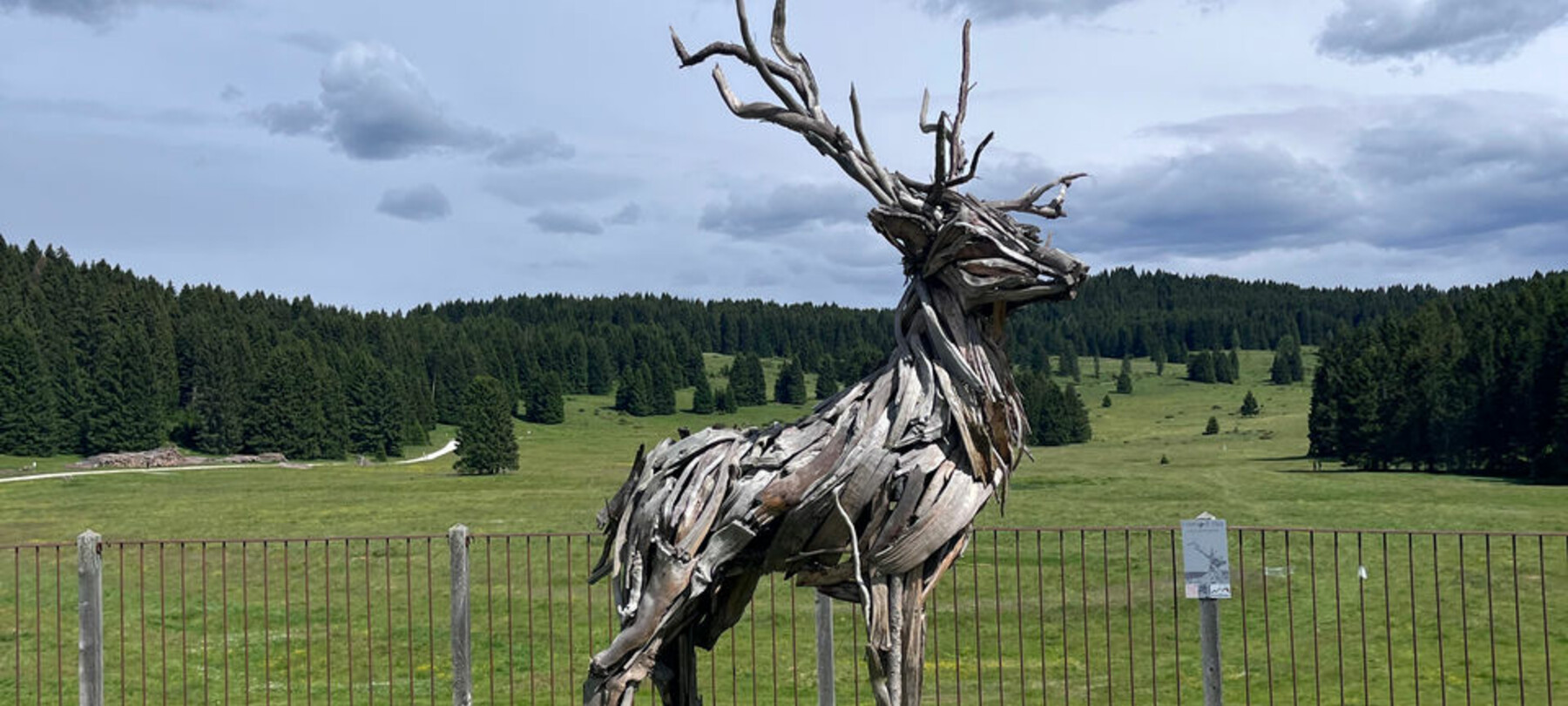 Cervo di Vaia | © App Mio Trentino