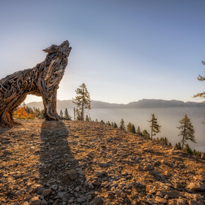 Lupa Lagorai | © Dejan Bilic - Apt Valsugana