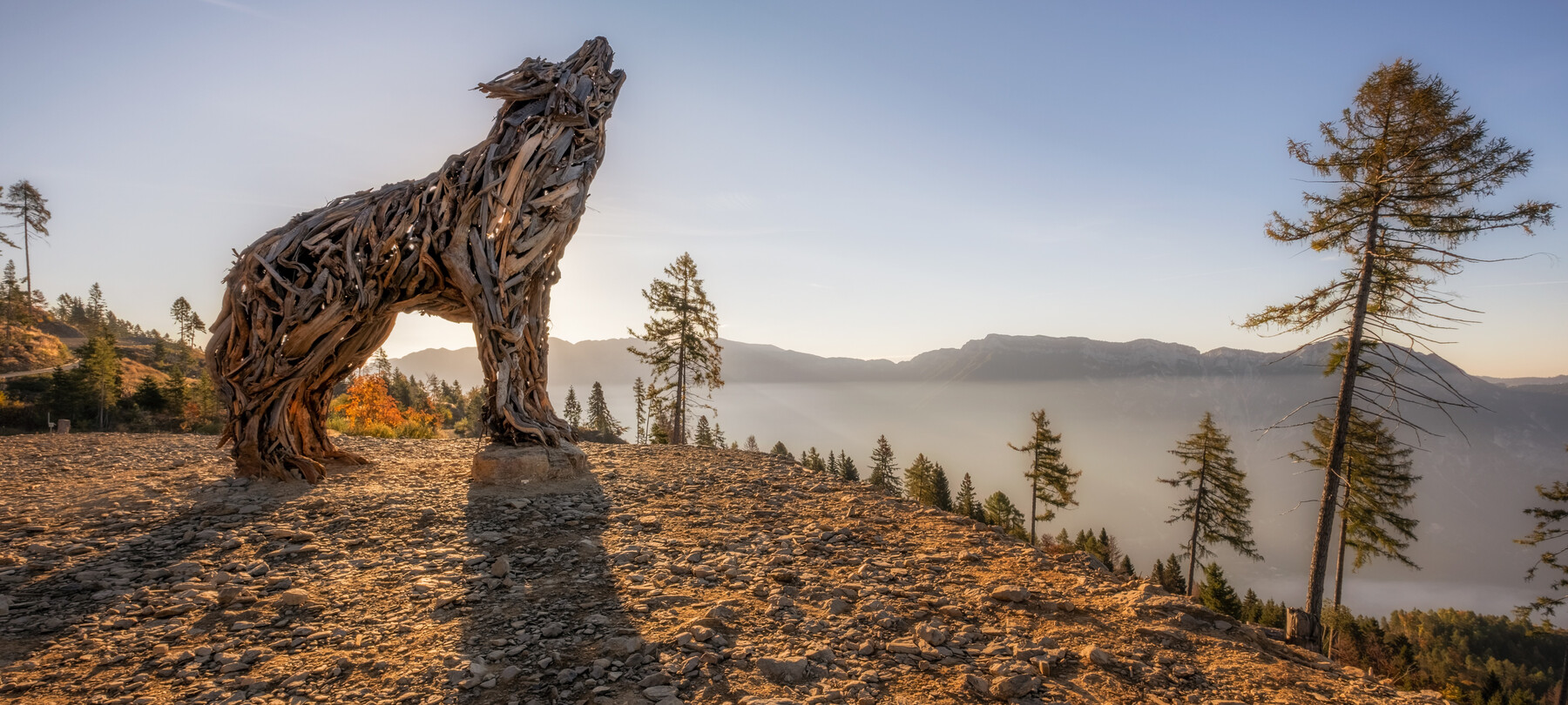 Lupa Lagorai | © Dejan Bilic - Apt Valsugana