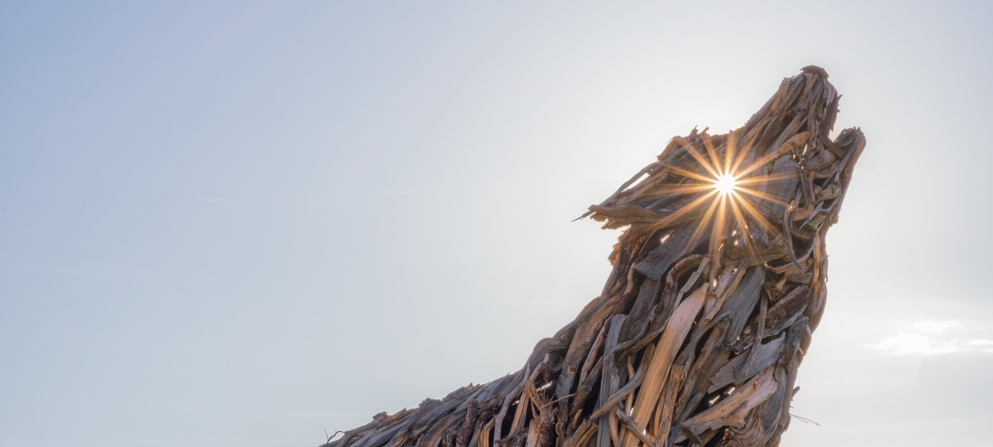 Zum Himmel gewandt | © Apt Valsugana