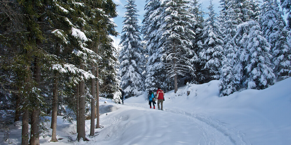 Hike to the Colbricon Lakes