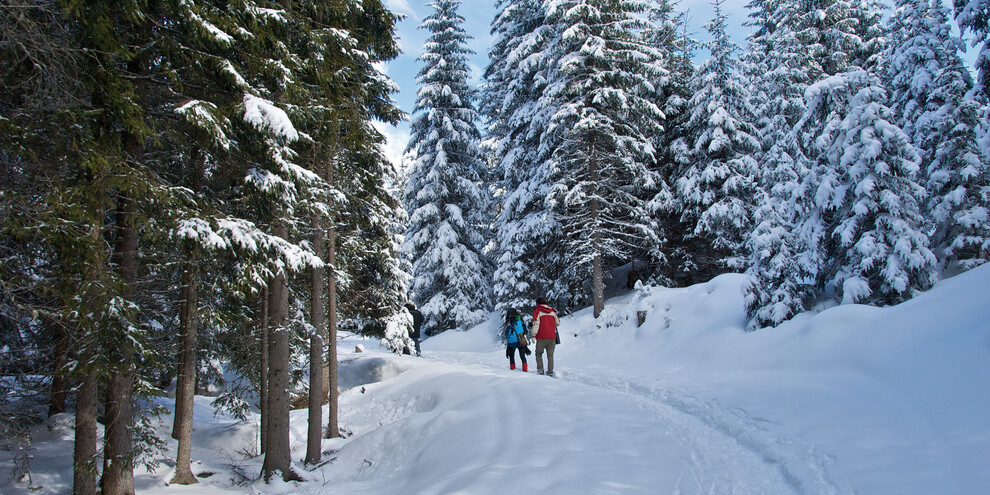 Hike to the Colbricon Lakes