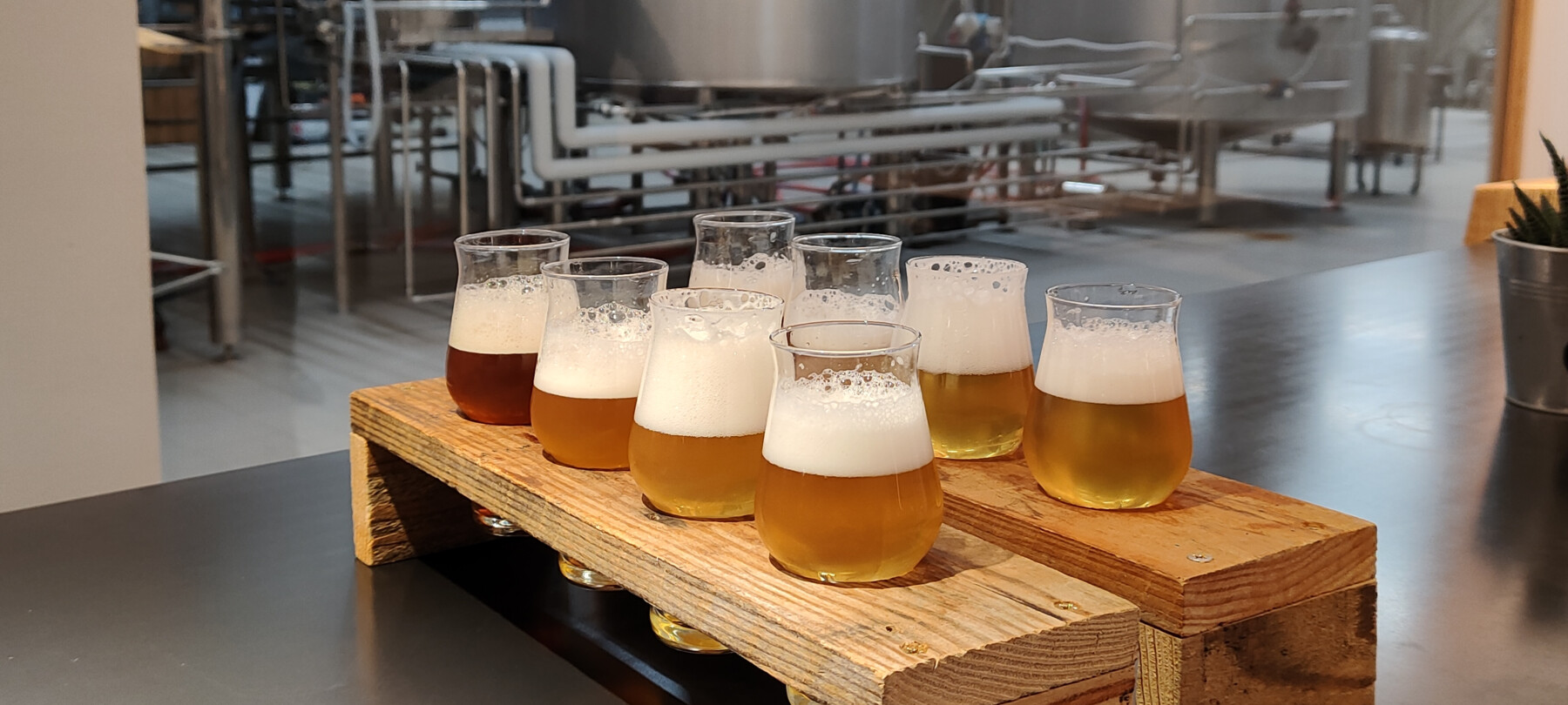 Degustazioni Birra di Fiemme | © Archivio Trentino Mktg