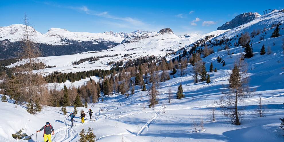 Malga Rolle – Cavallazza – Tognazza