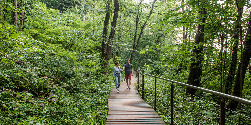 Levicosee, am Fischerweg entlang
