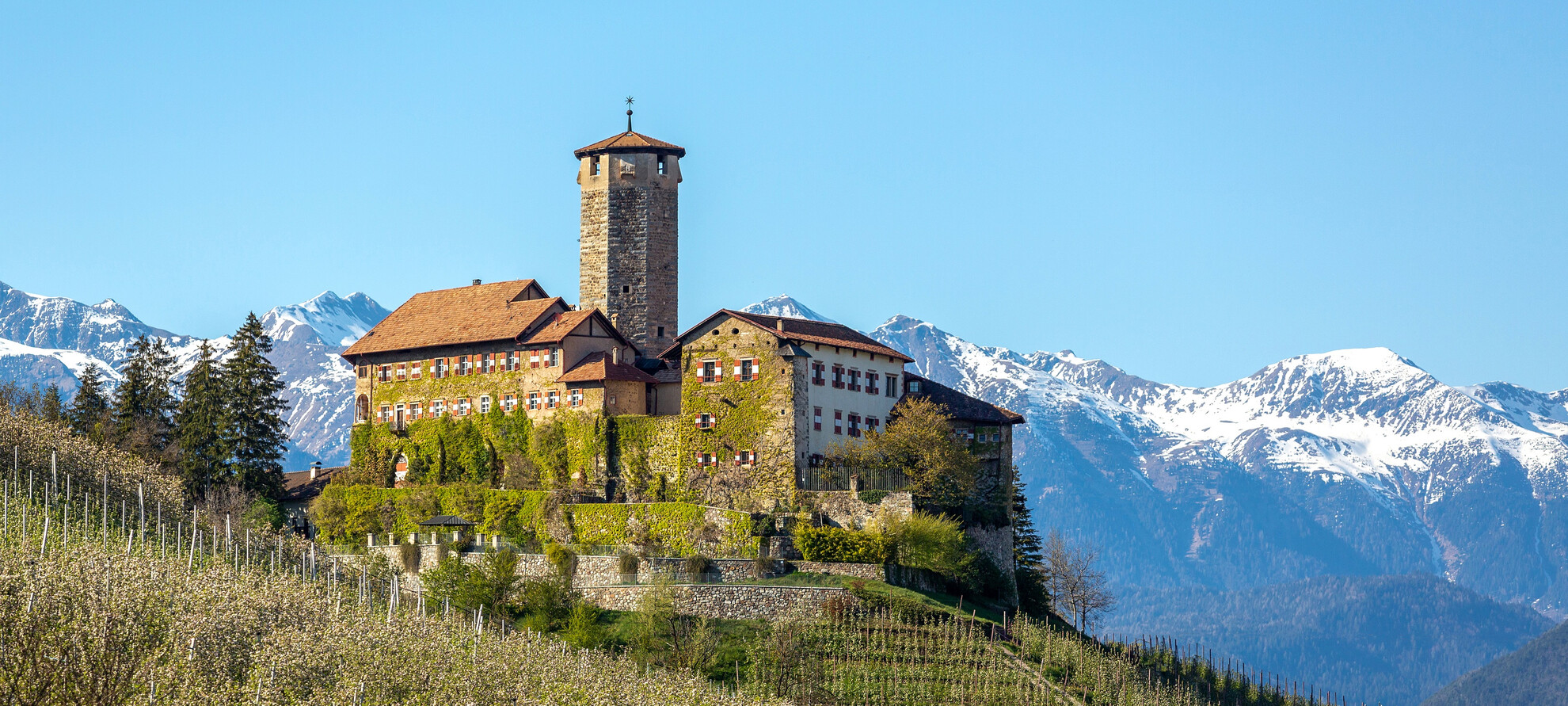 Un salto nel passato