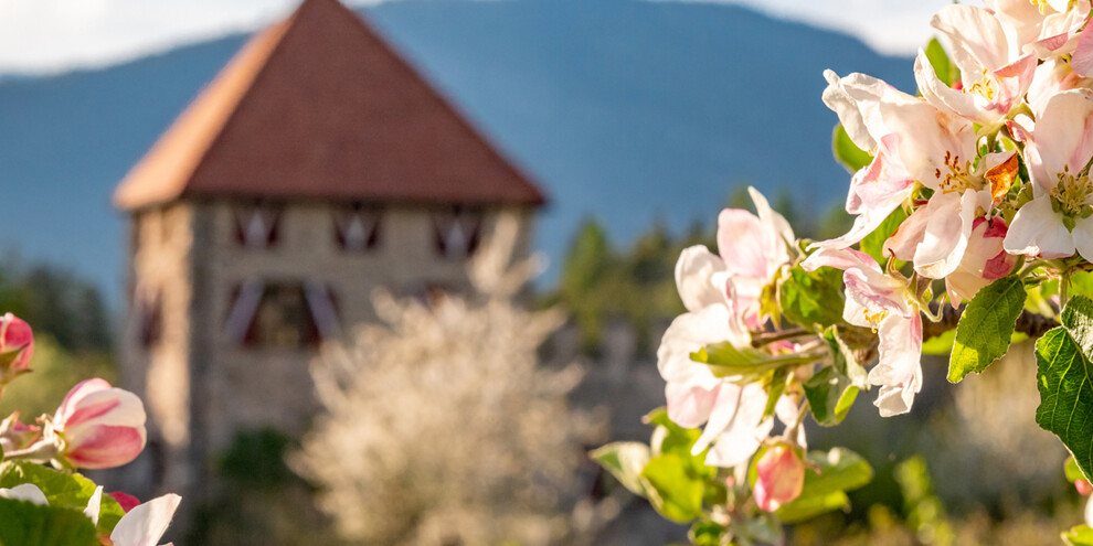 Unterwegs auf den Straßen des Genusses