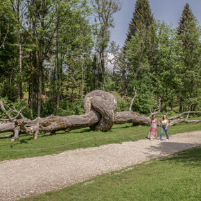 Arte in armonia con la natura