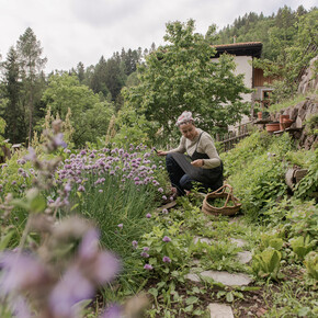 The first springtime harvests