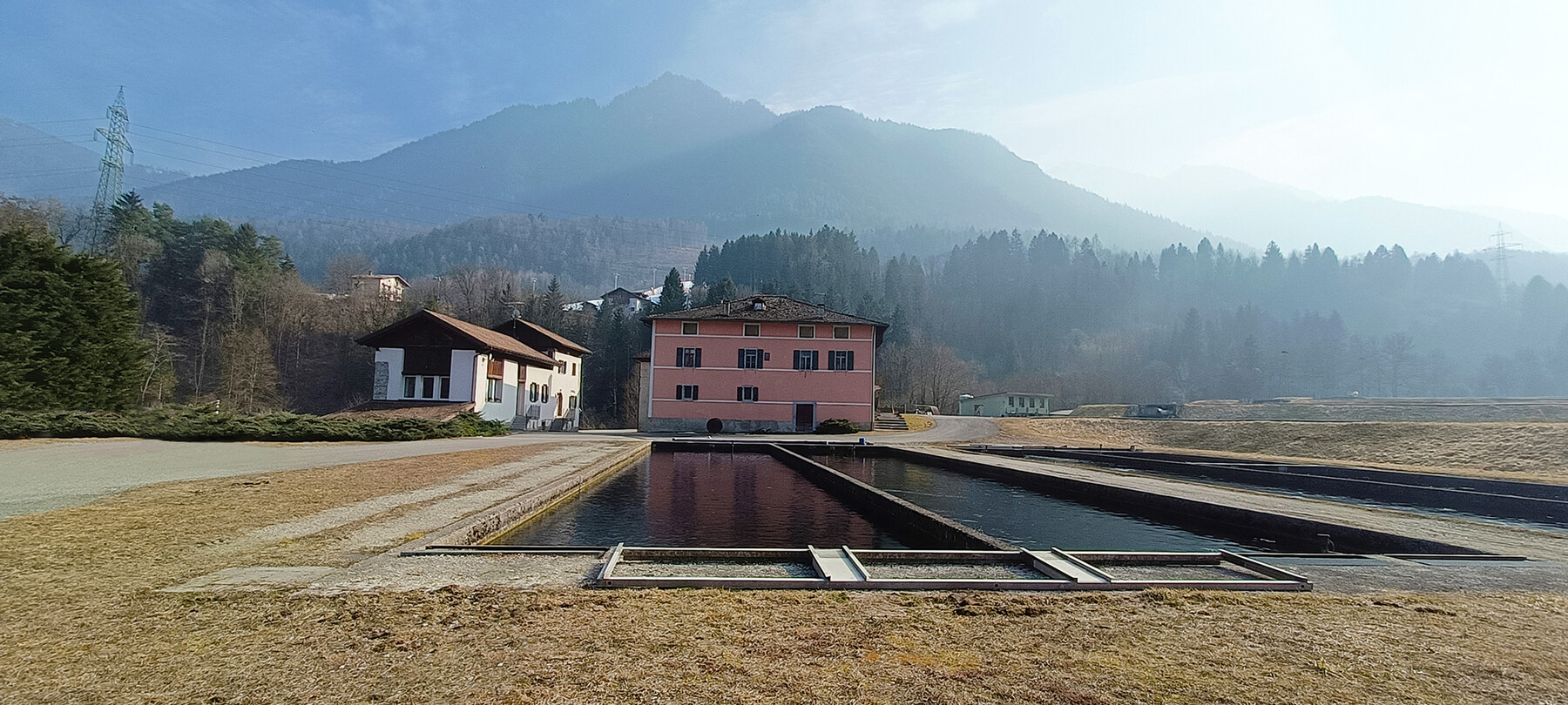 Trote e salmerini alpini, un’esperienza trentina