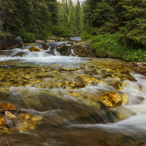 Torrente alpino | © Archivio Trentino Mktg