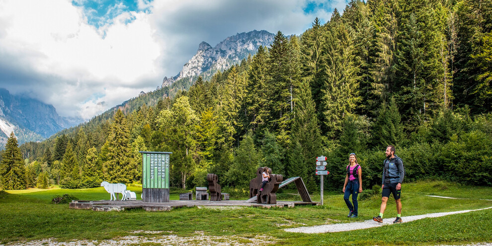 Le Muse Fedaie nel Parco Naturale Paneveggio