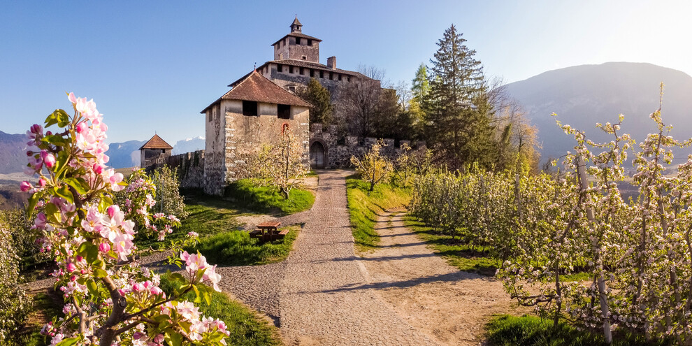 Quattro Ville in fiore (Cztery kwitnące wille)
