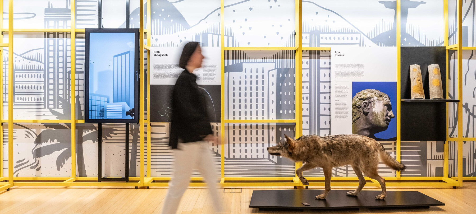 Il Muse celebra i 10 anni con una grande festa