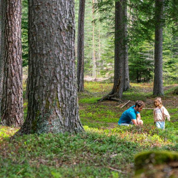 Val di Fiemme - Cavalese - Famiglia passeggia nel bosco | © Aringa Studio